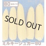 画像: [とうもろこし]　ミルキーシュガー80　2000粒　トキタ種苗(株)