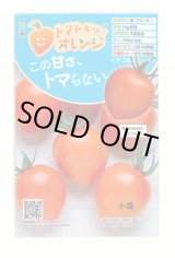 画像: [トマト/ミニトマト] トマトベリー オレンジ 5粒 トキタ種苗（株）