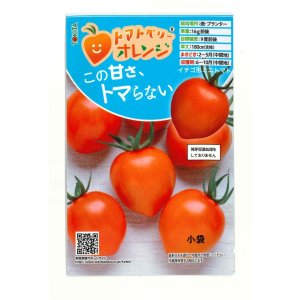 画像: 送料無料　[トマト/ミニトマト]　トマトベリー　オレンジ　5粒　トキタ種苗（株）