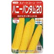 画像1: [とうもろこし]　ハニーバンタム20　2000粒　(株)サカタのタネ (1)