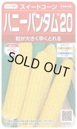 画像: [とうもろこし]　ハニーバンタム20　2000粒　(株)サカタのタネ