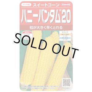 画像: [とうもろこし]　ハニーバンタム20　2000粒　(株)サカタのタネ