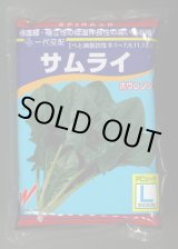 画像: [ほうれんそう]　サムライ　3万粒（種子サイズ：L）　渡辺農事（株）