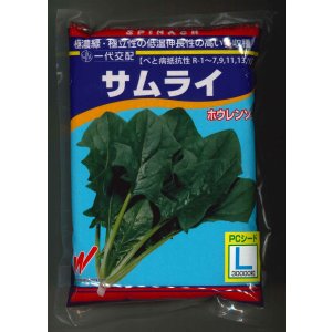 画像: [ほうれんそう]　サムライ　3万粒（種子サイズ：L）　渡辺農事（株）