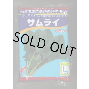 画像: [ほうれんそう]　サムライ　3万粒（種子サイズ：L）　渡辺農事（株）