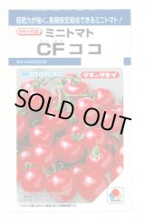 画像: [トマト/ミニトマト] CFココ 16粒 タキイ種苗 DF