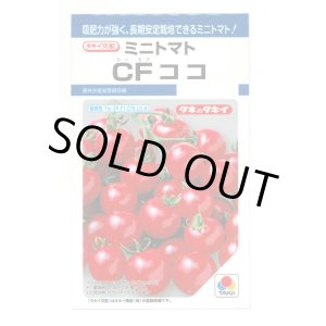 画像: [トマト/ミニトマト] CFココ 16粒 タキイ種苗 DF