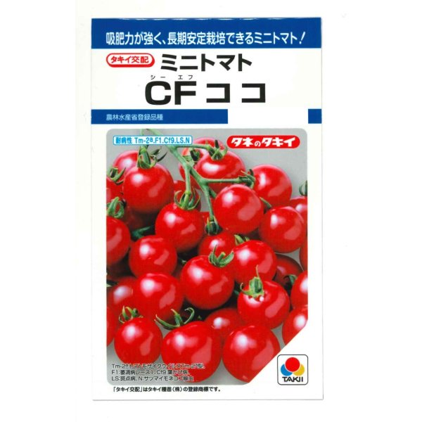 画像1: 送料無料　[トマト/ミニトマト]　CFココ　16粒　タキイ種苗　DF (1)