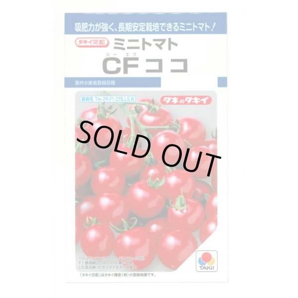 画像1: [トマト/ミニトマト] CFココ 16粒 タキイ種苗 DF (1)