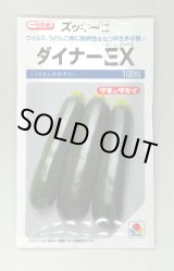 画像: [ズッキーニ] ダイナーEX 100粒 タキイ種苗（株）