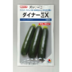 画像: 送料無料　[ズッキーニ]　ダイナーEX　100粒　タキイ種苗（株）