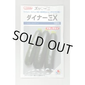 画像: [ズッキーニ] ダイナーEX 100粒 タキイ種苗（株）