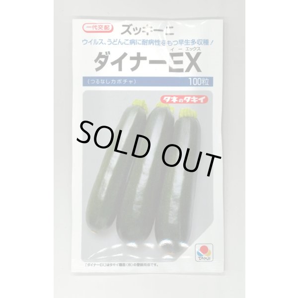 画像1: [ズッキーニ] ダイナーEX 100粒 タキイ種苗（株） (1)