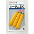 画像1: 送料無料　[ズッキーニ]　オーラムEX　100粒　タキイ種苗（株） (1)