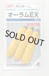 画像: [ズッキーニ] オーラムEX 100粒 タキイ種苗（株）