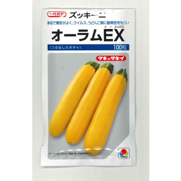 画像1: 送料無料　[ズッキーニ]　オーラムEX　100粒　タキイ種苗（株） (1)