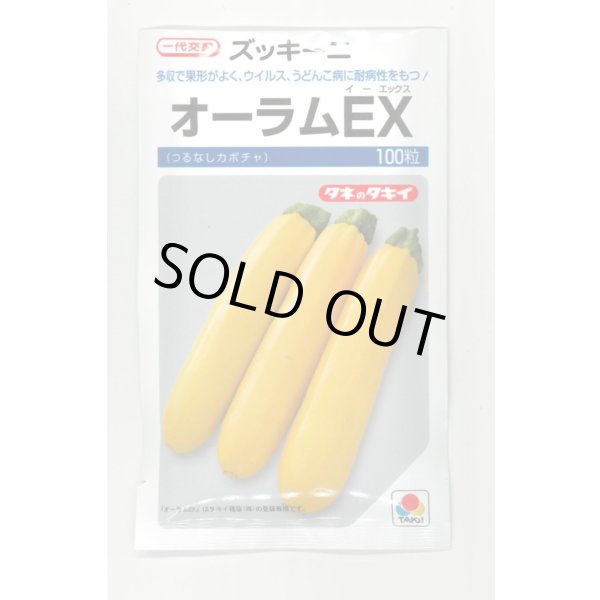 画像1: [ズッキーニ] オーラムEX 100粒 タキイ種苗（株） (1)