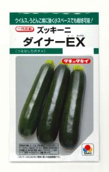 画像: 送料無料　[ズッキーニ]　ダイナーEX　10粒　タキイ種苗(株)　GF