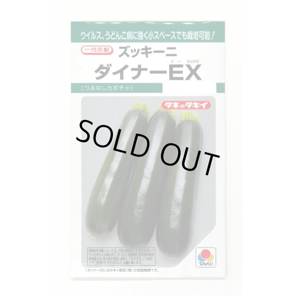 画像1: [ズッキーニ] ダイナーEX 10粒 タキイ種苗(株) GF (1)