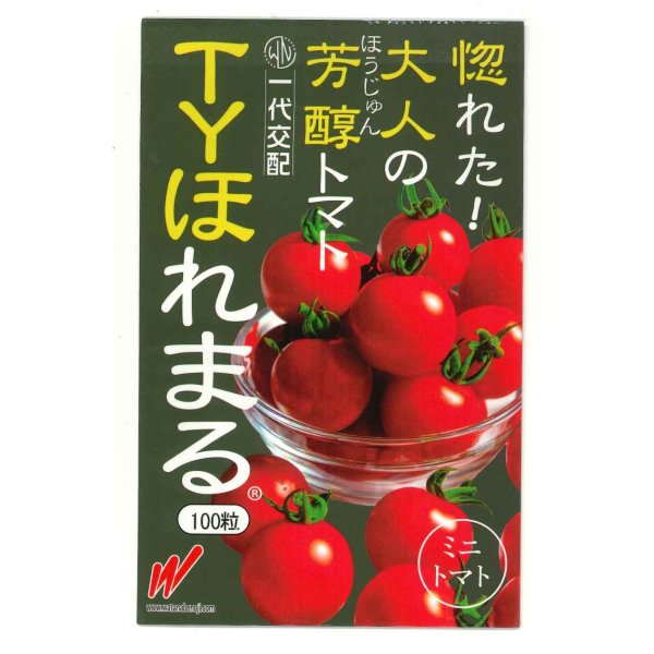 画像1: 送料無料　[トマト/ミニトマト]　TYほれまる　100粒　渡辺農事（株） (1)