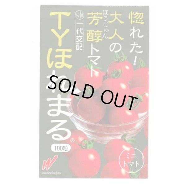 画像1: [トマト/ミニトマト] TYほれまる 100粒 渡辺農事（株） (1)