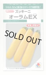 画像: [ズッキーニ] オーラムEX 10粒 タキイ種苗(株) GF