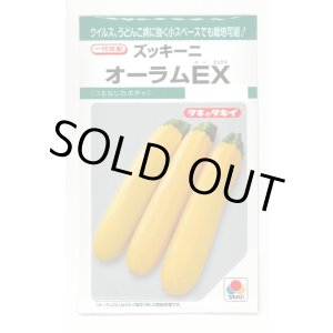 画像: [ズッキーニ] オーラムEX 10粒 タキイ種苗(株) GF