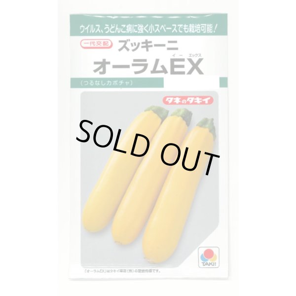 画像1: [ズッキーニ] オーラムEX 10粒 タキイ種苗(株) GF (1)