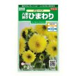 画像1: 送料無料　花の種　ひまわり　グミーベア　約20粒　（株）サカタのタネ　実咲250（206036） (1)