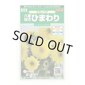 画像: 花の種 ひまわり グミーベア 約20粒 (株)サカタのタネ 実咲250(206036)