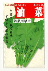 画像: 送料無料　油菜　8ml　(株)タカヤマシード