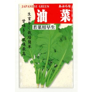 画像: 送料無料　油菜　8ml　(株)タカヤマシード