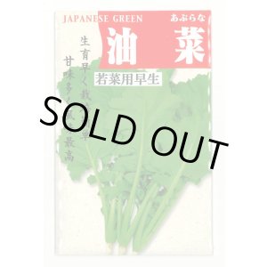 画像: 油菜 8ml (株)タカヤマシード