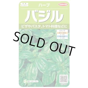 画像: [ハーブの種] バジル約1500粒 (株)サカタのタネ 実咲250(003187)