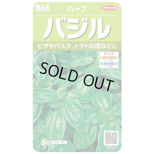 画像1: [ハーブの種] バジル約1500粒 (株)サカタのタネ 実咲250(003187) (1)