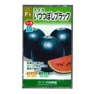 画像: 送料無料　[スイカ]　小玉スイカ　いつつぼしブラック　7粒　（株）大和農園