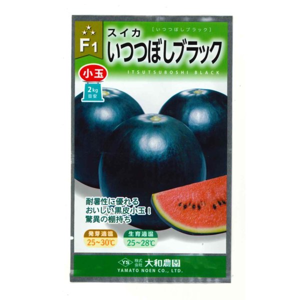 画像1: 送料無料　[スイカ]　小玉スイカ　いつつぼしブラック　7粒　（株）大和農園 (1)