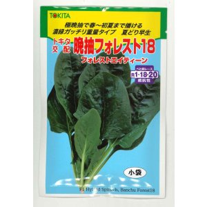 画像: ほうれんそう　晩抽フォレスト18　30ml　トキタ種苗（株）