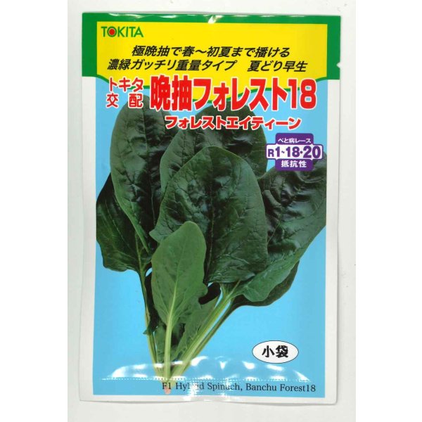 画像1: ほうれんそう　晩抽フォレスト18　30ml　トキタ種苗（株） (1)