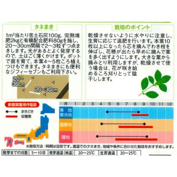 画像2: 送料無料　[ハーブの種]　バジル約1500粒    (株)サカタのタネ 実咲（003187） (2)