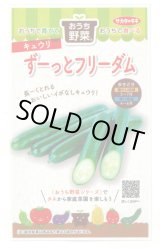 画像: 送料無料　[キュウリ]　ずーっとフリーダム　12粒(株)サカタのタネ 実咲450（204459）
