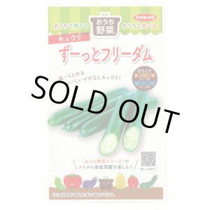画像: 送料無料　[キュウリ]　ずーっとフリーダム　12粒(株)サカタのタネ 実咲450（204459）