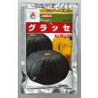 画像1: 送料無料 [かぼちゃ] グラッセ 500粒 タキイ種苗 (1)