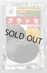 画像: 送料無料 [かぼちゃ] グラッセ 500粒 タキイ種苗