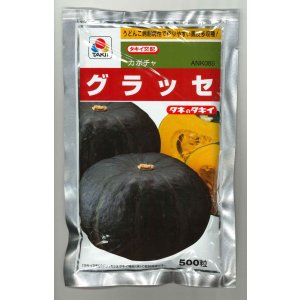 画像: 送料無料 [かぼちゃ] グラッセ 500粒 タキイ種苗