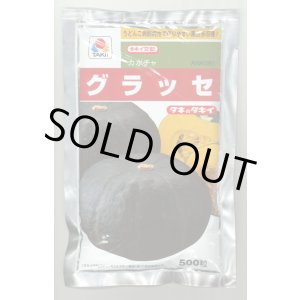 画像: 送料無料 [かぼちゃ] グラッセ 500粒 タキイ種苗