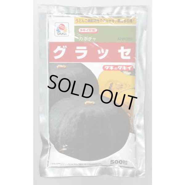 画像1: 送料無料 [かぼちゃ] グラッセ 500粒 タキイ種苗 (1)