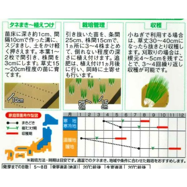 画像5: 送料無料 [ねぎ] 小ねぎ すさまる 小袋（約2000粒）（株）サカタのタネ　実咲204463 (5)