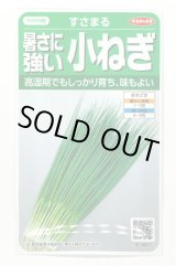 画像: 送料無料 [ねぎ] 小ねぎ すさまる 小袋（約2000粒）（株）サカタのタネ　実咲204463