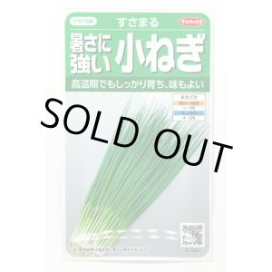 画像: 送料無料 [ねぎ] 小ねぎ すさまる 小袋（約2000粒）（株）サカタのタネ　実咲204463